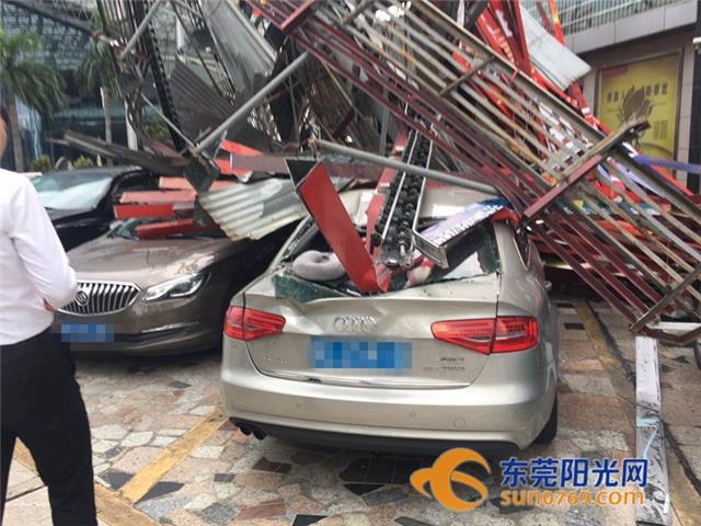 杏运 1cdd6