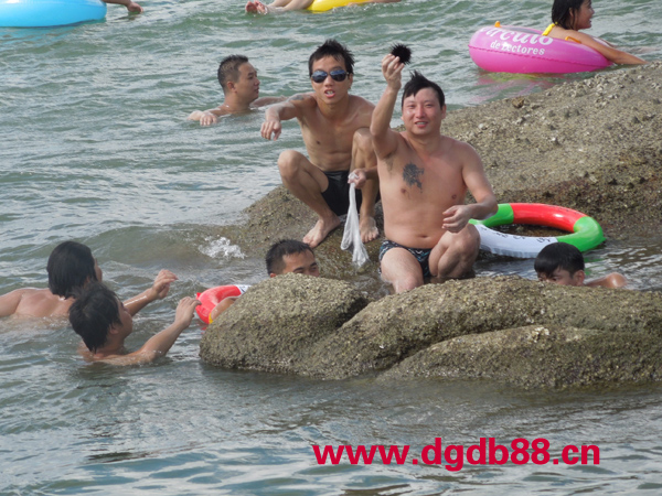 杏运 c7672