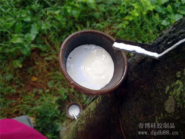 杏运 da01e
